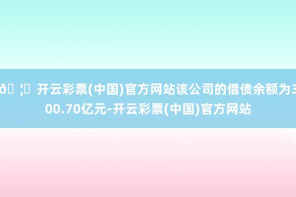 🦄开云彩票(中国)官方网站该公司的借债余额为300.70亿元-开云彩票(中国)官方网站