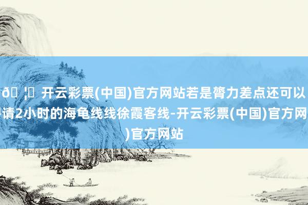 🦄开云彩票(中国)官方网站若是膂力差点还可以聘请2小时的海龟线线徐霞客线-开云彩票(中国)官方网站