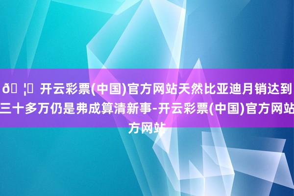 🦄开云彩票(中国)官方网站天然比亚迪月销达到三十多万仍是弗成算清新事-开云彩票(中国)官方网站