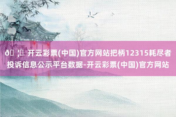 🦄开云彩票(中国)官方网站把柄12315耗尽者投诉信息公示平台数据-开云彩票(中国)官方网站