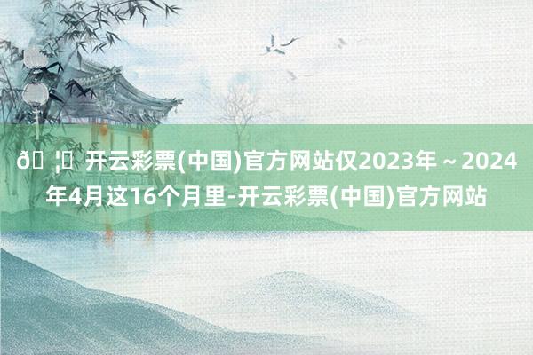 🦄开云彩票(中国)官方网站仅2023年～2024年4月这16个月里-开云彩票(中国)官方网站