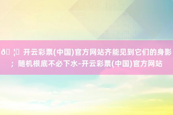 🦄开云彩票(中国)官方网站齐能见到它们的身影；随机根底不必下水-开云彩票(中国)官方网站