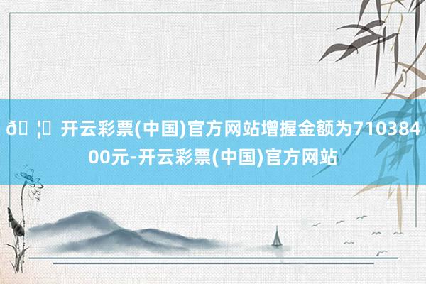 🦄开云彩票(中国)官方网站增握金额为71038400元-开云彩票(中国)官方网站