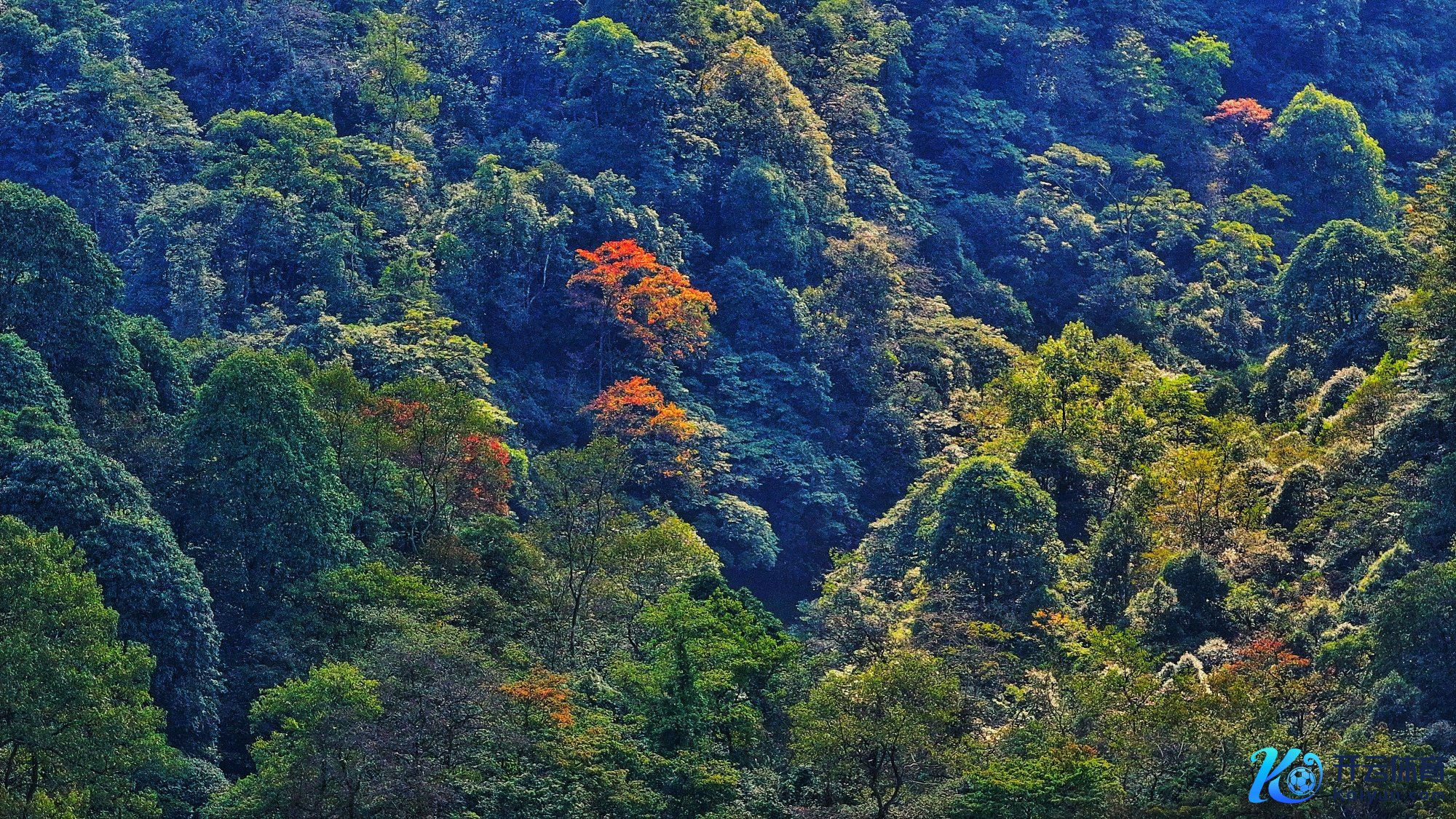 天台山秋色