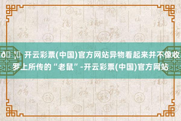 🦄开云彩票(中国)官方网站异物看起来并不像收罗上所传的“老鼠”-开云彩票(中国)官方网站