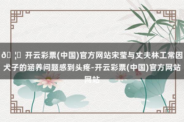 🦄开云彩票(中国)官方网站宋莹与丈夫林工常因犬子的涵养问题感到头疼-开云彩票(中国)官方网站