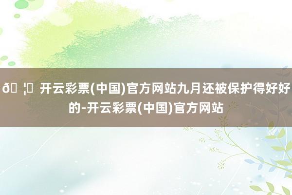 🦄开云彩票(中国)官方网站九月还被保护得好好的-开云彩票(中国)官方网站