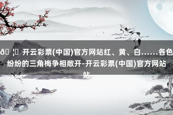 🦄开云彩票(中国)官方网站红、黄、白……各色纷纷的三角梅争相敞开-开云彩票(中国)官方网站