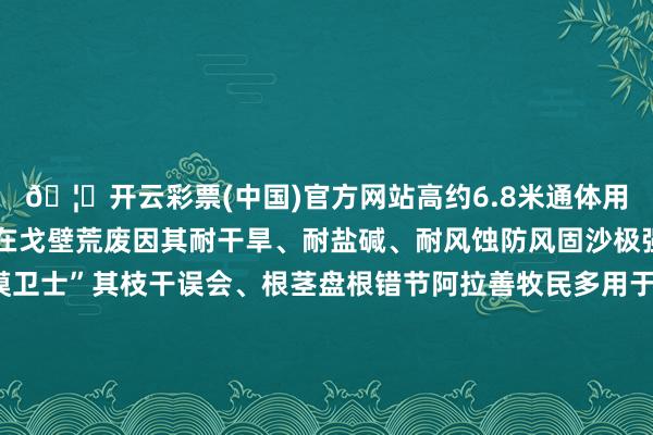 🦄开云彩票(中国)官方网站高约6.8米通体用梭梭柴木堆砌梭梭滋长在戈壁荒废因其耐干旱、耐盐碱、耐风蚀防风固沙极强的特色被称为“沙漠卫士”其枝干误会、根茎盘根错节阿拉善牧民多用于烧柴搭建牲口棚圈2022年阿拉善“梭梭柴建筑搭建身手”入选自治区级非物资文化遗产代表性步地起头：活力内蒙古 发布于：内蒙古自治区-开云彩票(中国)官方网站