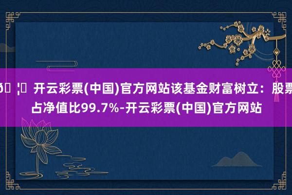 🦄开云彩票(中国)官方网站该基金财富树立：股票占净值比99.7%-开云彩票(中国)官方网站